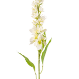 De Kunstbloem Aziatische appel 84 cm crème heeft een lange steel met meerdere delicate crèmekleurige bloemen en lange, smalle groene bladeren tegen een effen witte achtergrond.