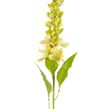 De Kunstbloem Aziatische appel 84 cm groen heeft een enkele hoge stengel met meerdere lichtgele bloemen en langwerpige groene bladeren, afgebeeld tegen een witte achtergrond.