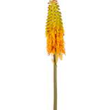 De Kunstbloem Fakkellelie 80 cm groen/geel heeft een hoge kunstbloem met een groene steel en een kegelvormige tros kleine bloemen die van geel aan de bovenkant naar oranje aan de onderkant verkleuren, tegen een witte achtergrond.