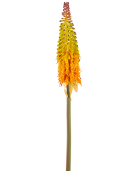 Kunstbloem Fakkellelie 80 cm groen/geel