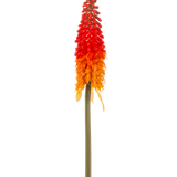 De Kunstbloem Fakkellelie 80 cm oranje heeft een hoge kunstbloem met een lange groene steel en een kegelvormige tros oranje bloemblaadjes, tegen een effen witte achtergrond.
