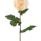 De Kunstbloem Dahlia 75 cm crème heeft een enkele steel met een grote, ronde crème dahlia bloem en verschillende groene, gekartelde bladeren op een witte achtergrond.