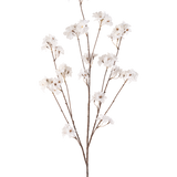 De Kunstbloem Kersenbloesem 130 cm crème heeft een enkele bruine steel die zich vertakt in meerdere dunne stelen, elk versierd met trosjes kleine, delicate crème kersenbloesem bloemen tegen een effen witte achtergrond.