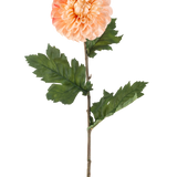 De Kunstbloem Dahlia 75 cm perzik heeft een perzikkleurige dahlia met gelaagde bloemblaadjes en drie trossen gekartelde groene bladeren op een lange steel, afgebeeld tegen een witte achtergrond.