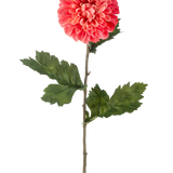 De Kunstbloem Dahlia 75 cm rood is een enkele kunstmatige rode dahlia bloem met gelaagde bloemblaadjes en verschillende groene blaadjes op een lange groene steel, geïsoleerd op een witte achtergrond.