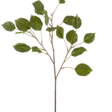 De Kunsttak Hortensia 75 cm groen heeft een slanke stengel met verschillende kleinere takken, elk versierd met meerdere groene, ovaalvormige bladeren, tegen een effen witte achtergrond.