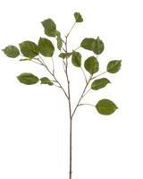 De Kunsttak Hortensia 75 cm groen heeft een slanke stengel met verschillende kleinere takken, elk versierd met meerdere groene, ovaalvormige bladeren, tegen een effen witte achtergrond.