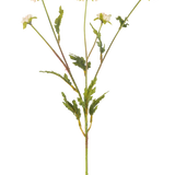 De Kunstbloem Pompon chrysant 69 cm crème/roze heeft een groene stengel die zich vertakt in vijf kleinere stengels, elk bekroond met een ronde crème-roze bloem en omringd door gekartelde groene bladeren, alles tegen een effen witte achtergrond.