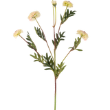 De Kunstbloem Pompon chrysant 69 cm crème/roze heeft een enkele steel met meerdere crèmeroze, margrietachtige bloemen en groene, varenvormige bladeren tegen een effen witte achtergrond.