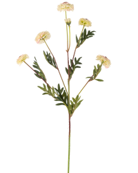 Kunstbloem Pompon chrysant 69 cm crème/roze