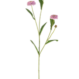 De Kunstbloem Zomeraster 57 cm mauve heeft een lange, slanke groene steel met drie mauve, margrietachtige bloemen en langwerpige groene bladeren die zich vertakken, alles tegen een effen witte achtergrond.