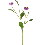 Een Kunstbloem Zomeraster van 57 cm met een enkele groene steel, drie paarse margrietachtige bloemen met een geel hart en een aantal groene bladeren, afgebeeld tegen een effen witte achtergrond.