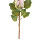 De Kunstbloem Protea 65 cm lichtroze heeft een enkele lichtroze protea bloem met meerdere groene bladeren tegen een effen witte achtergrond.