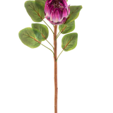 De Kunstbloem Protea 65 cm paars heeft een enkele kunstmatige paarse protea bloem met groene bladeren en een lange bruine steel, tegen een witte achtergrond.
