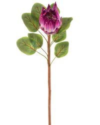 Kunstbloem Protea 65 cm paars
