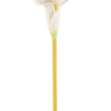 De Kunstbloem Calla 64 cm crème is een enkele kunstmatige witte calla lelie met een lange gele steel, tegen een effen witte achtergrond.