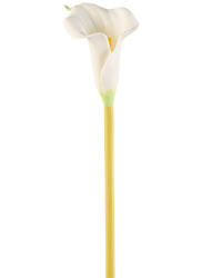 Kunstbloem Calla 64 cm crème