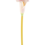 De Kunstbloem Calla 64 cm blush, een enkele roze en witte calla lelie met een gele steel, wordt getoond tegen een effen witte achtergrond.