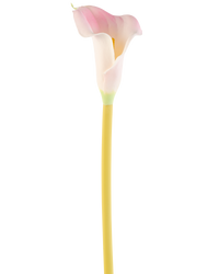 Kunstbloem Calla 64 cm blush