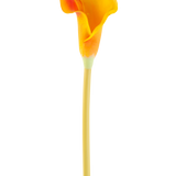 De Kunstbloem Calla 64 cm oranje heeft een enkele oranje calla lelie met een lange, slanke steel, geïsoleerd op een witte achtergrond.