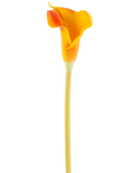 Kunstbloem Calla 64 cm oranje