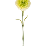 De Kunstbloem Anjer 57 cm lichtgroen is een kunstmatige lichtgroene anjer met ruches in de bloemblaadjes en een lange steel, afgebeeld tegen een effen witte achtergrond.