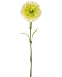 Kunstbloem Anjer 57 cm lichtgroen