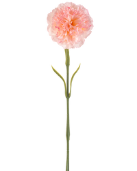 Kunstbloem Anjer 57 cm blush