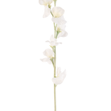 Een enkele Kunstbloem Erwt 64 cm crème heeft meerdere delicate crèmewitte bloesems op lichtgroene stelen, tegen een effen witte achtergrond.