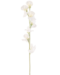 Kunstbloem Erwt 64 cm crème