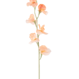 Een enkele Kunstbloem Erwt 64 cm perzik heeft een licht perzikkleurige kunsterwt met ruches in de bloemblaadjes en een groene stengel, geïsoleerd op wit.