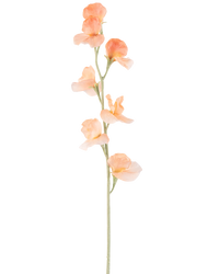Kunstbloem Erwt 64 cm perzik