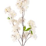Een Kunstbloem Kersenbloesem 119 cm crème met trosjes tere witte bloesems en een paar heldergroene blaadjes op slanke bruine stelen, geïsoleerd op een witte achtergrond.
