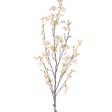 De Kunstbloem Kersenbloesem 150 cm crème heeft een hoge tak met verschillende dunne stelen, kleine witte kersenbloesem bloemen en verspreide groene bladeren, allemaal tegen een effen witte achtergrond.
