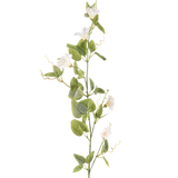 De Kunstbloem Winde 122 cm wit heeft een enkele steel met kleine witte bloemen, groene bladeren en gekrulde ranken tegen een effen witte achtergrond.