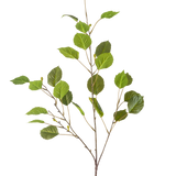 De Kunsttak 118 cm groen is een enkele dunne tak met meerdere groene bladeren en kleine knoppen, geïsoleerd op een witte achtergrond.