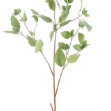 Het Kunsttak Muntblad 97 cm groen heeft meerdere dunne stelen met groene ovale bladeren tegen een effen witte achtergrond.