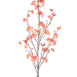 De Kunstbloem Kersenbloesem 150 cm perzik heeft een enkele hoge tak met meerdere dunne stengels, versierd met trosjes kleine roze en rode bloesems en een paar groene bladeren, tegen een effen witte achtergrond.