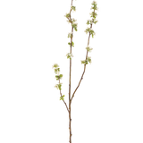 De Kunsttak Zaaddoos 104 cm crème heeft een enkele bruine tak met kleine groene blaadjes en trosjes kleine witte bloemetjes tegen een effen witte achtergrond.