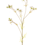 De Kunstbloem Cosmos 95 cm crème is een hoge, delicate kunstplant met dunne stengels, kleine groene blaadjes en trosjes kleine witte bloemen met een geel hart, afgebeeld tegen een effen witte achtergrond.