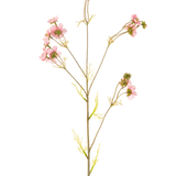 Een Kunstbloem Cosmos 95 cm roze heeft een enkele hoge steel met meerdere dunne takken, elk versierd met trossen tere roze bloemen en lichtgroene bladeren, tegen een effen witte achtergrond.