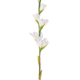 De Kunstbloem Gladiolen 83 cm wit is een enkele kunstmatige witte gladioolstengel met meerdere bloesems en groene knoppen, rechtopstaand tegen een effen witte achtergrond.