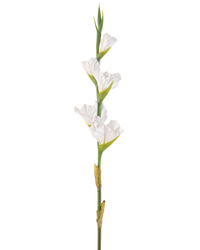 Kunstbloem Gladioli 83 cm wit