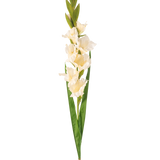 De Kunstbloem Gladiolen 93 cm crème is een kunstmatige witte gladioolstengel met meerdere bloesems, lange groene bladeren en verschillende groene knoppen aan de bovenkant, tegen een effen witte achtergrond.