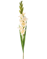 De Kunstbloem Gladiolen 93 cm crème is een kunstmatige witte gladioolstengel met meerdere bloesems, lange groene bladeren en verschillende groene knoppen aan de bovenkant, tegen een effen witte achtergrond.