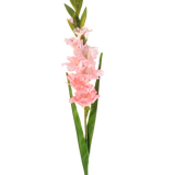 De Kunstbloem Gladiolen 93 cm roze heeft een enkele steel met meerdere zachtroze bloemen en lange groene bladeren, afgebeeld tegen een witte achtergrond.