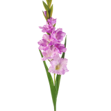 Een enkele Kunstbloem Gladiolen stengel van 93 cm met meerdere roze en lichtpaarse bloemen met lange groene bladeren, geïsoleerd op een witte achtergrond.