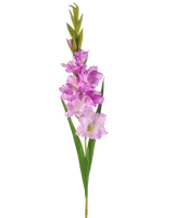 Een enkele Kunstbloem Gladiolen stengel van 93 cm met meerdere roze en lichtpaarse bloemen met lange groene bladeren, geïsoleerd op een witte achtergrond.
