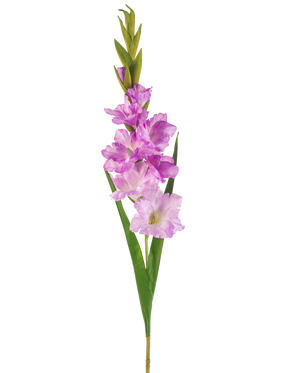 Een enkele Kunstbloem Gladiolen stengel van 93 cm met meerdere roze en lichtpaarse bloemen met lange groene bladeren, geïsoleerd op een witte achtergrond.