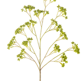 De Kunsttak Zaaddoos 80 cm groen heeft een enkele vertakte stengel met verschillende trossen kleine groene blaadjes, allemaal symmetrisch gerangschikt tegen een witte achtergrond.